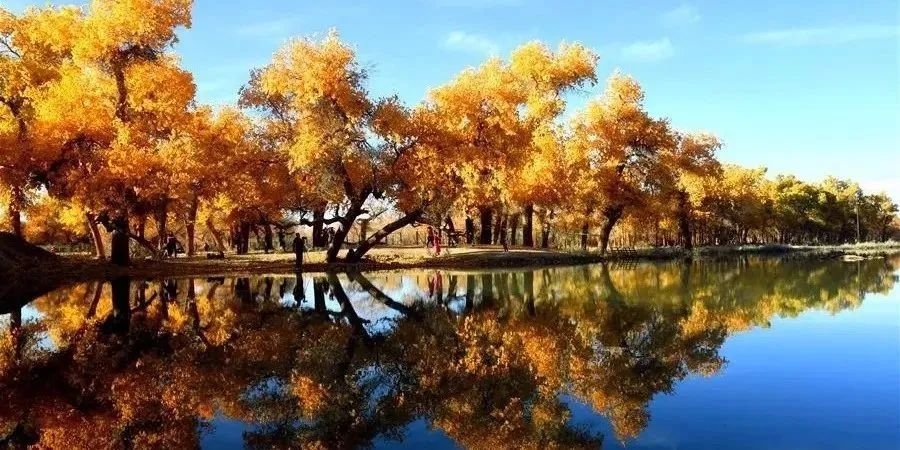 有你相伴，未來可期——生日快樂!